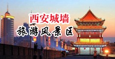 国模巴中国陕西-西安城墙旅游风景区